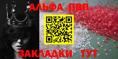 крисы Берёзовский