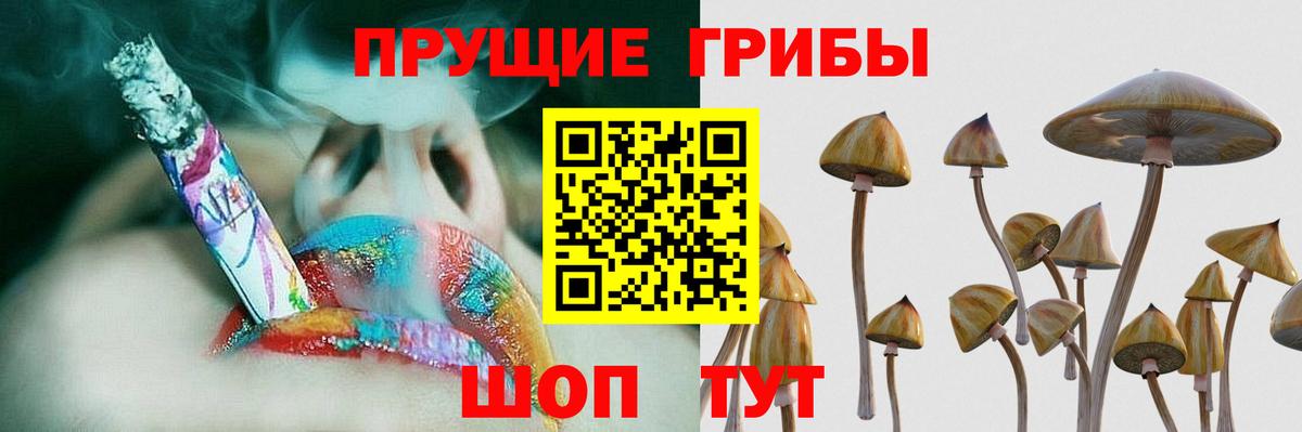 Псилоцибиновые грибы мухоморы  Вход с VPN  Владикавказ  Псилоцибиновые грибы Psilocybe 